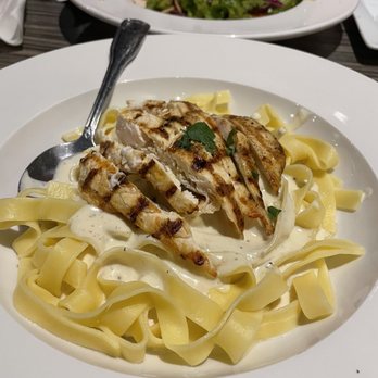 Parma Pasta Pizza - Chicken fettuccine alfredo - Italian Near Me - Lewisville, Texas Parma Pasta Pizza - Chicken fettuccine alfredo - Italian Near Me - Lewisville, Texas