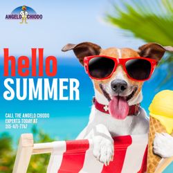 Angelo Chiodo Heating & Air Conditioning - Stay cool all summer long with our 24/7 services & free in-home A/C replacement estimates. Beat the heat & call us at 315-471-7747 today