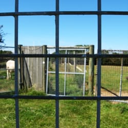 South Downs Walks: Berwick to Willingdon, via Arlington,