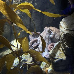 Ocean below