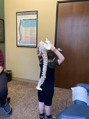 Davis Family Chiropractic and Massage