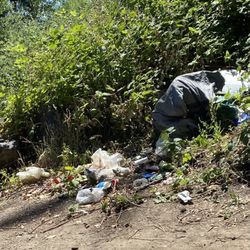 City of Eugene