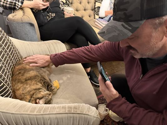 E Shaver Booksellers by null