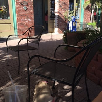 MOD Coffeehouse - Coffee with the pup - Coffee & Tea Near Me - Galveston, Texas