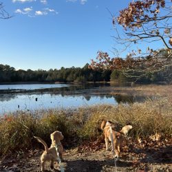 Cranberry Bog County Park