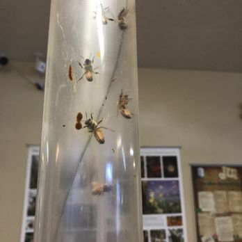 Muddy Bees Bakery - Love BEE'S!! - Bakeries Near Me - Hurricane, Utah Muddy Bees Bakery - Love BEE'S!! - Bakeries Near Me - Hurricane, Utah