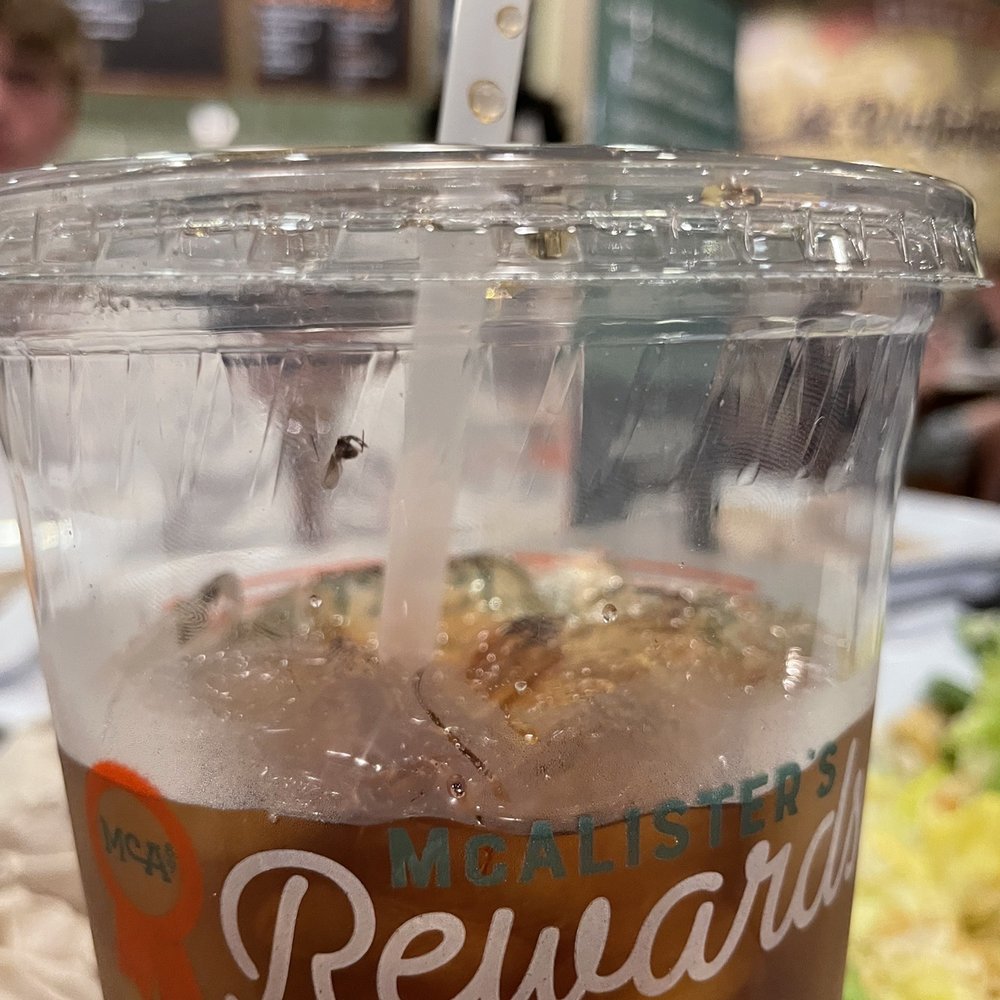 Bug in the Fountain Drinks Bug in the Fountain Drinks