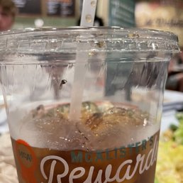 Bug in the Fountain Drinks Bug in the Fountain Drinks