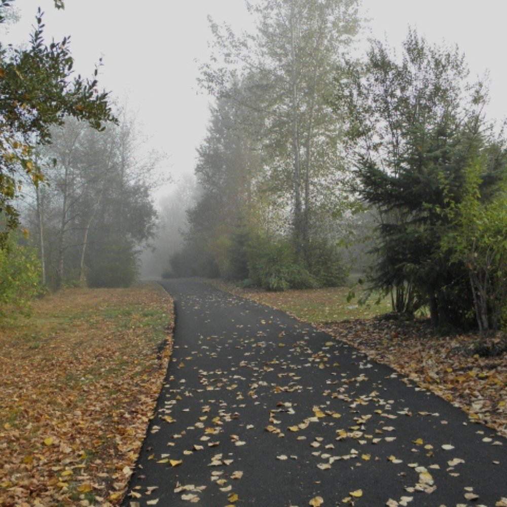 Lowell Riverfront Park - Parks Near Me - Everett, Washington Lowell Riverfront Park - Parks Near Me - Everett, Washington