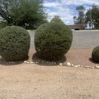 Down 2 Earth Landscape - Landscaping Near Me