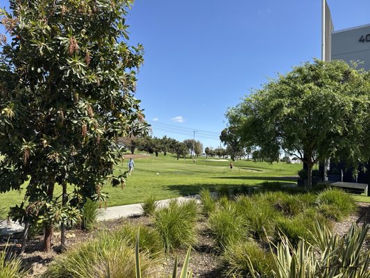 The Lakes at El Segundo by null