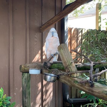 Gatorland - Zoos Near Me - Orlando, Florida