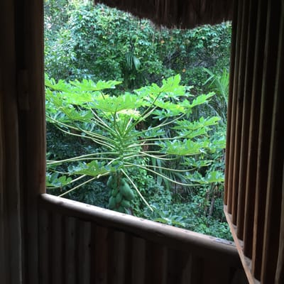 Praia do Forte by null