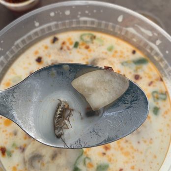 Thai Spice - Live bug - Thai Near Me - Lakeway, Texas
