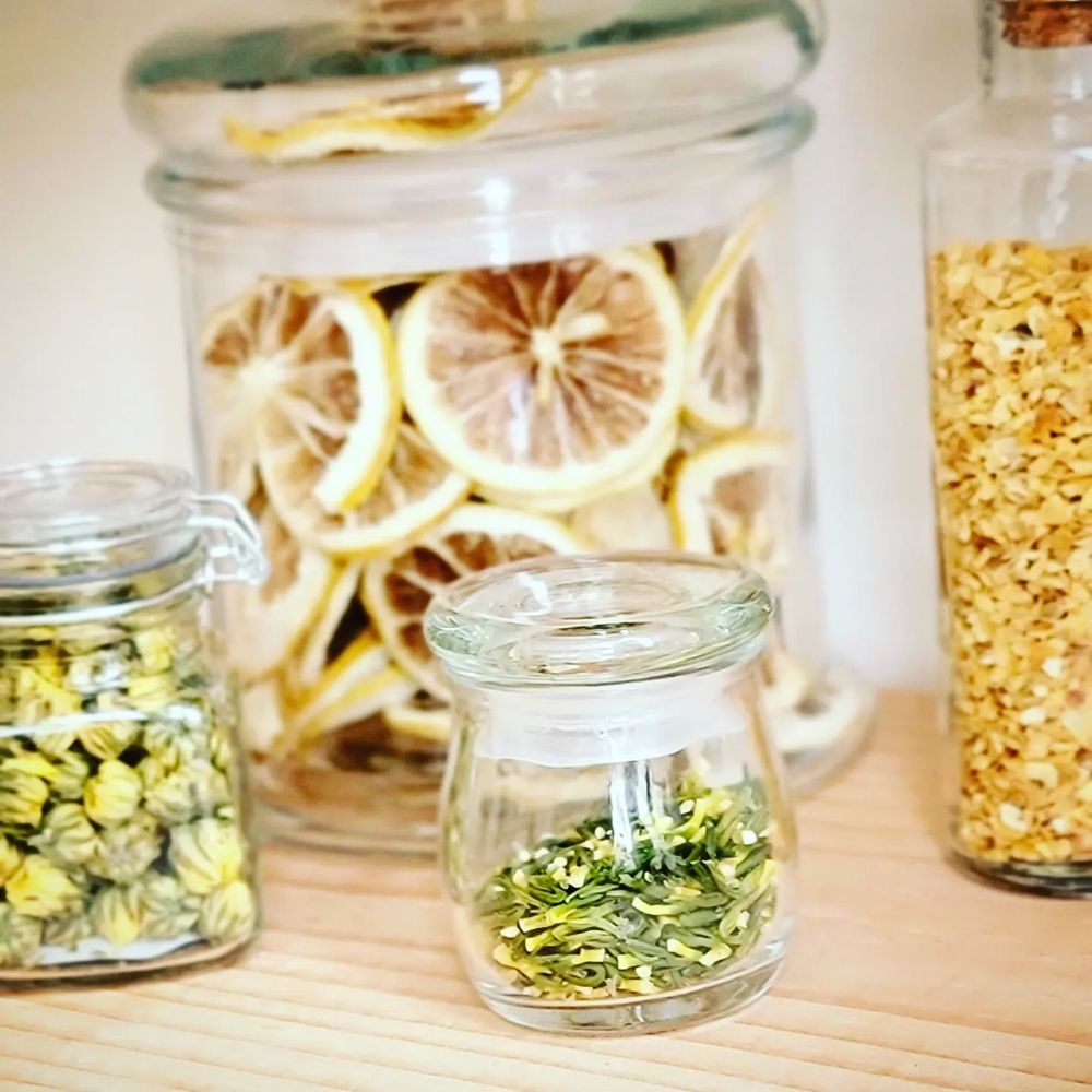 Nourish Day Spa Logo