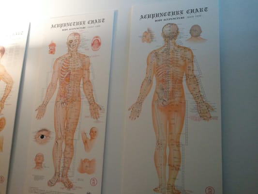 Qi Harmony Acupuncture