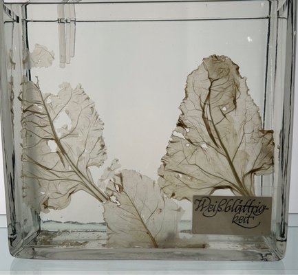 German Museum of Technology by null