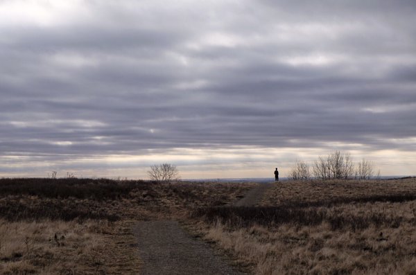 Nose Hill Park by null