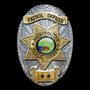 Photo of Metropolitan Public Safety