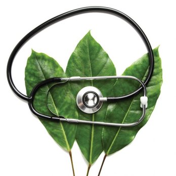 Carolina Holistic Medicine - Carolina Holistic Medicine - Home Health Care Near Me - Mount Pleasant, South Carolina Carolina Holistic Medicine - Carolina Holistic Medicine - Home Health Care Near Me - Mount Pleasant, South Carolina
