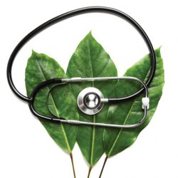 Carolina Holistic Medicine - Carolina Holistic Medicine