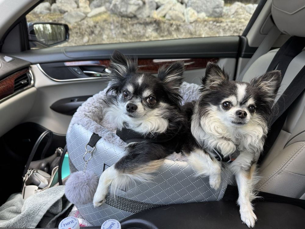 Whitefish Animal Hospital