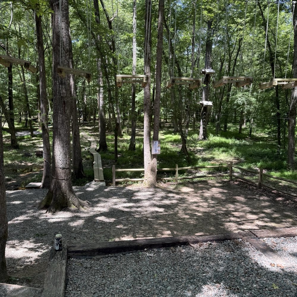 Canopy Adventure Park - More obstacles - Challenge Courses Near Me - Midlothian, Virginia