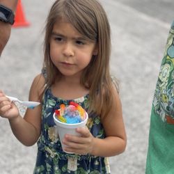Honu Shaved Ice