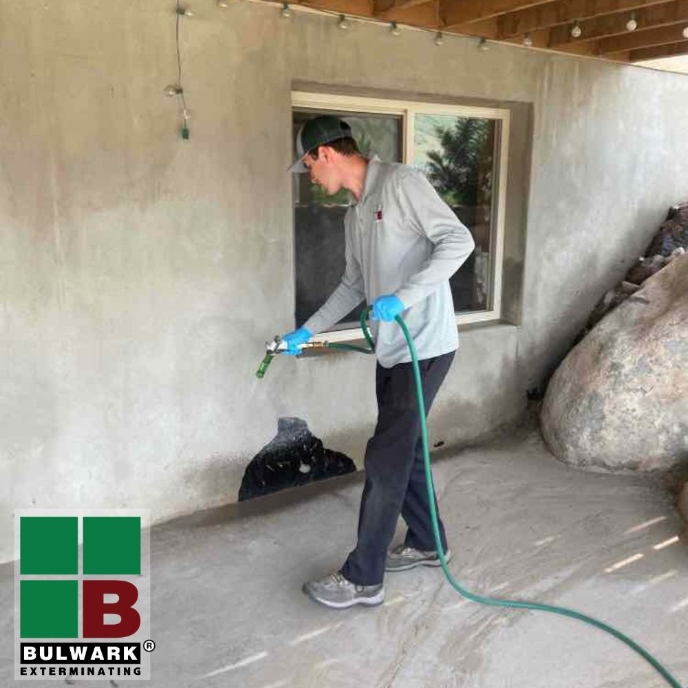 BULWARK EXTERMINATING Updated June 2024 9417 Great Hills Trl