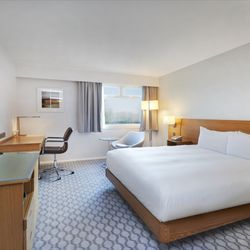 Hilton - Guest Room