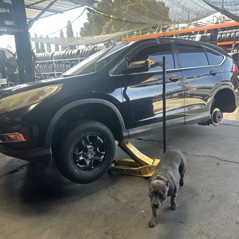 560 Customs - Tires Near Me - Los Angeles, California