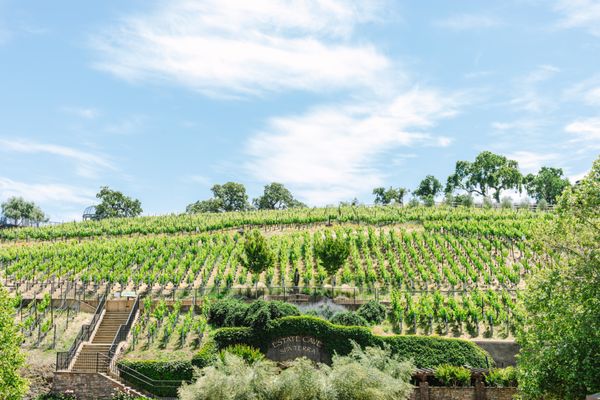 The Meritage Resort and Spa by null
