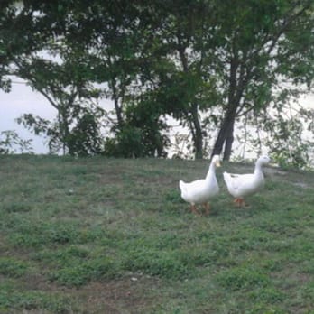 Crenshaw Park - Parks Near Me - Pasadena, Texas
