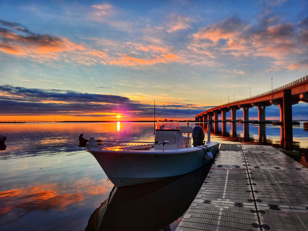 Badfish Fishing Charters Logo