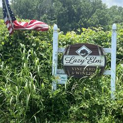 Lazy Elm