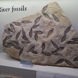 Orkney Fossil & Heritage Centre