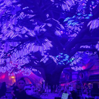 AREA15 - Oddwood tree - Venues & Event Spaces Near Me - Las Vegas, Nevada AREA15 - Oddwood tree - Venues & Event Spaces Near Me - Las Vegas, Nevada