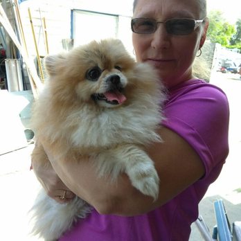Bubbly Bows Pet Salon - I called her miss Hollywood but she is majestic and this is her before picture - Pet Groomers Near Me - Apopka, Florida Bubbly Bows Pet Salon - I called her miss Hollywood but she is majestic and this is her before picture - Pet Groomers Near Me - Apopka, Florida