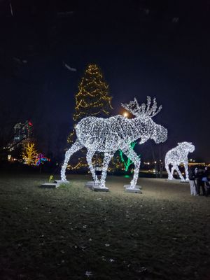 Queen Victoria Park by null
