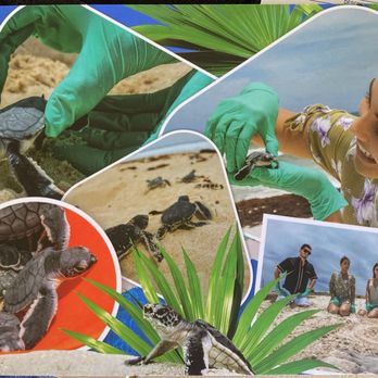Explora Caribe - (memory book p. 3 of 8) - Tours Near Me - Playa del Carmen, ROO