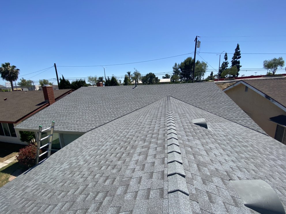 Slide of The Roofing Lady