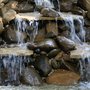 Swanson's Perfect Ponds
