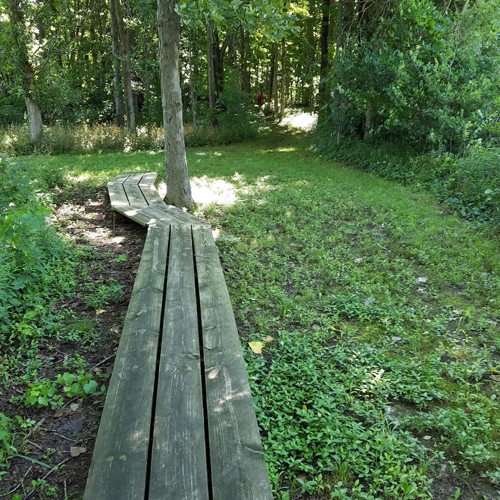 Bryan Woods Nature Preserve Logo