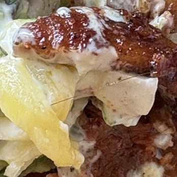 The Taco Stand - Hair in my food! - Mexican Near Me - San Diego, California The Taco Stand - Hair in my food! - Mexican Near Me - San Diego, California