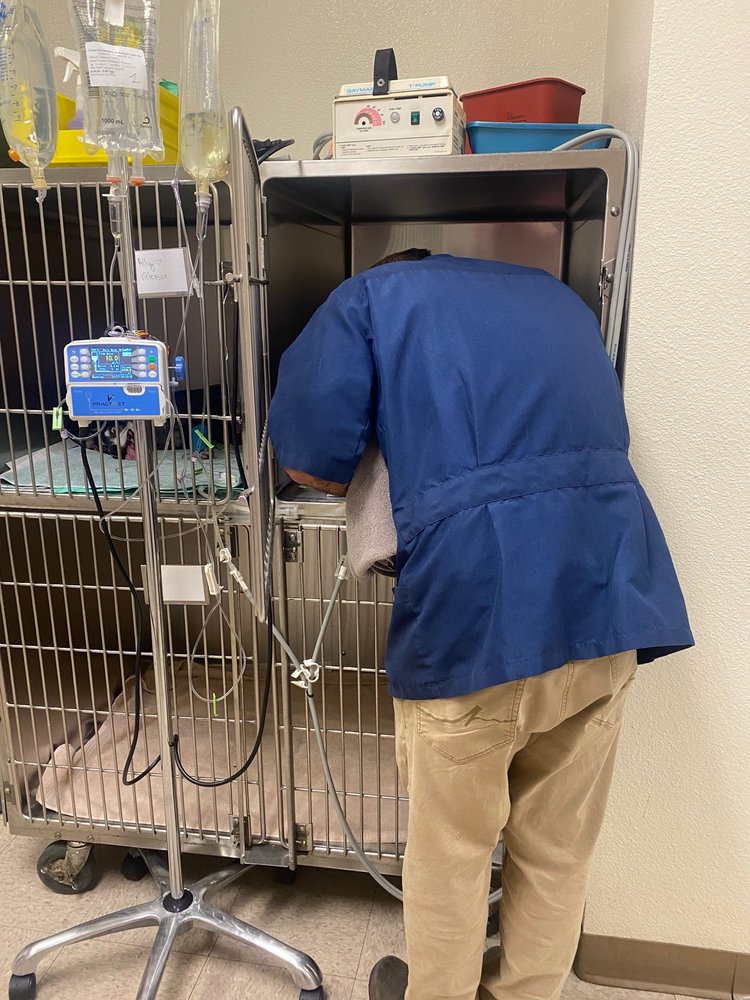 PALM BLUFFS VETERINARY Updated October 2024 12 Photos & 56 Reviews