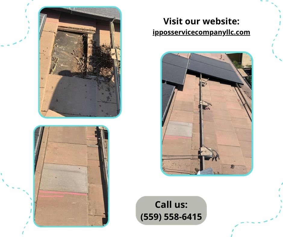 Slide of Ippo's Service Company