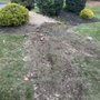 Khoury Stump Grinding