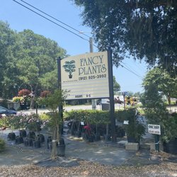 Fancy Plants