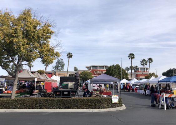 Galleria @ Tyler Farmers Market by null