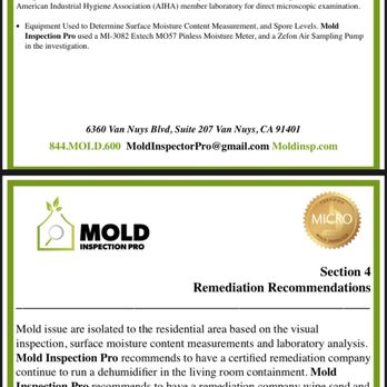 VEDA - Mold report - Apartments Near Me - Los Angeles, California